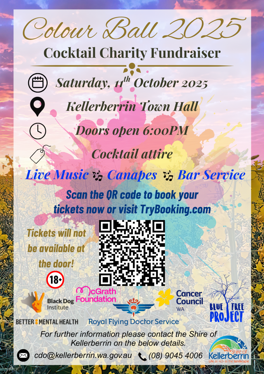 COlour Ball Information Poster