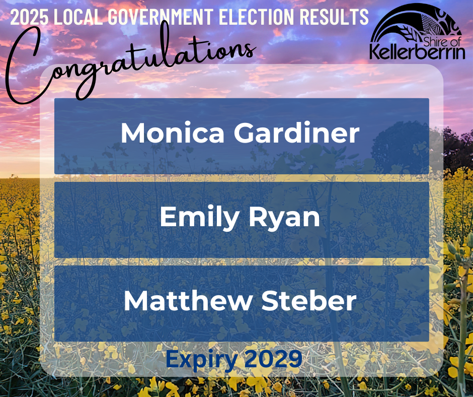 2025 Election Results