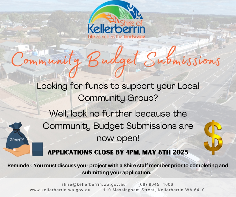 Community Budget Submissions