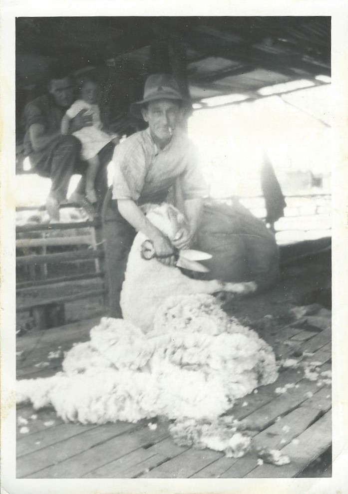 Hand Shearing 1935 Morrison Doodlakine
